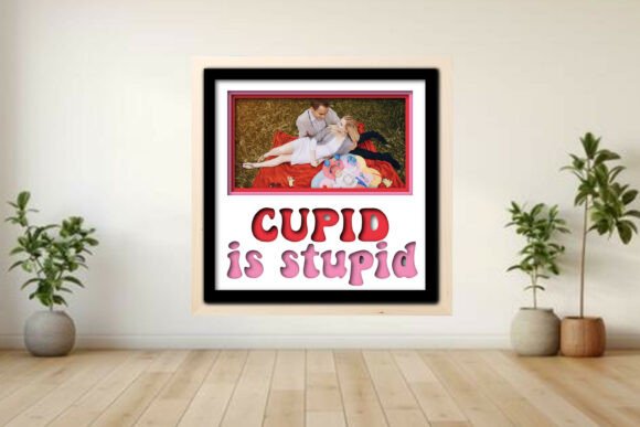 Cupid is Stupid Photo Frame Shadow Graphics and Crafts Review